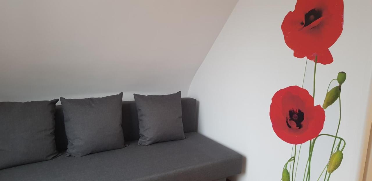 Pokoje Przy Jana Z Kolna Apartment